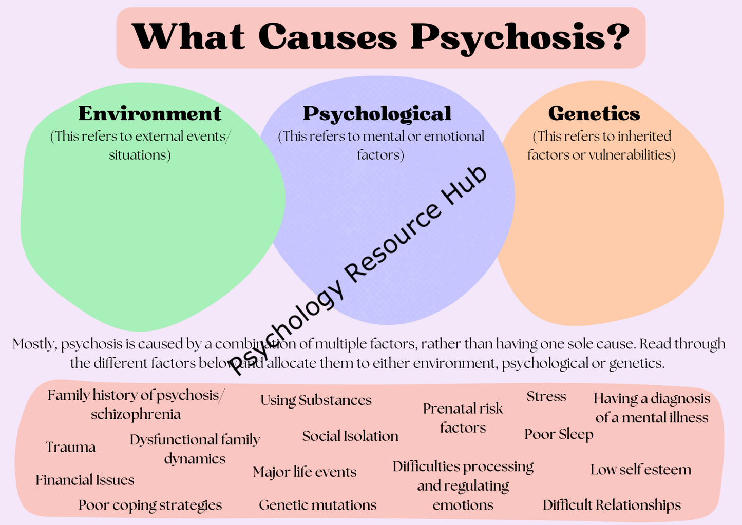 What Causes Psychosis Worksheet