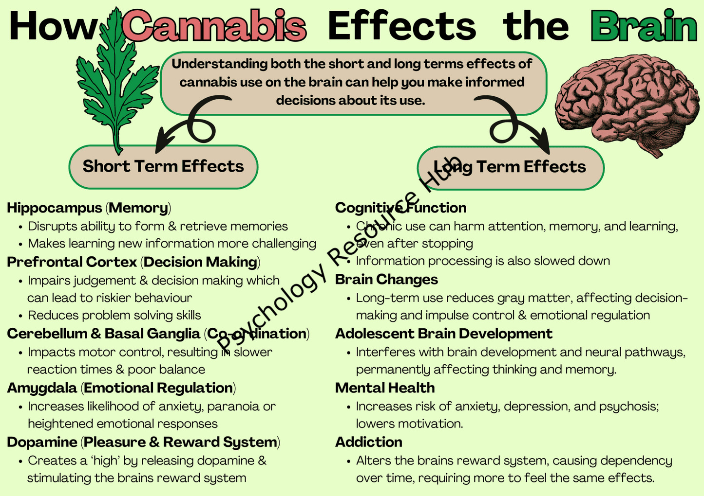 Educational poster illustrating How Cannabis Affects the Brain short-term and long-term, and the impact on functions and mental health