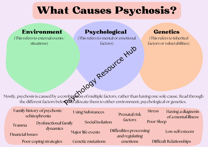 Causes of psychosis infographic showing environment, psychological, and genetics factors with examples like trauma, substance use, stress, and genetic mutations.