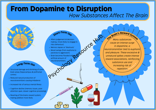 From Dopamine to Disruption: How Substances Effect the Brain