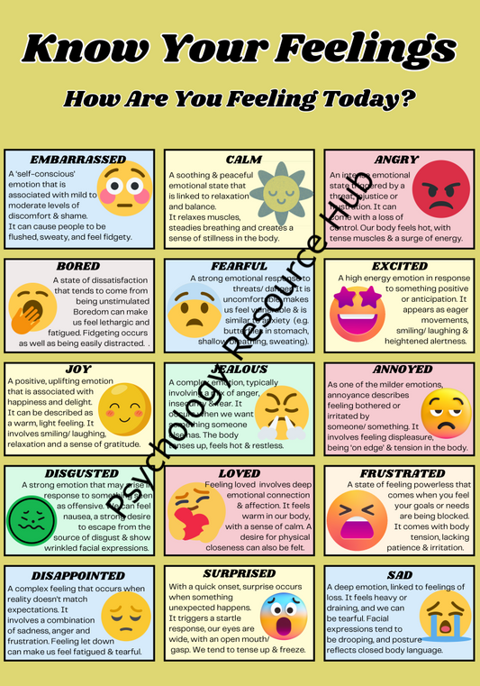 Know Your Feelings Chart