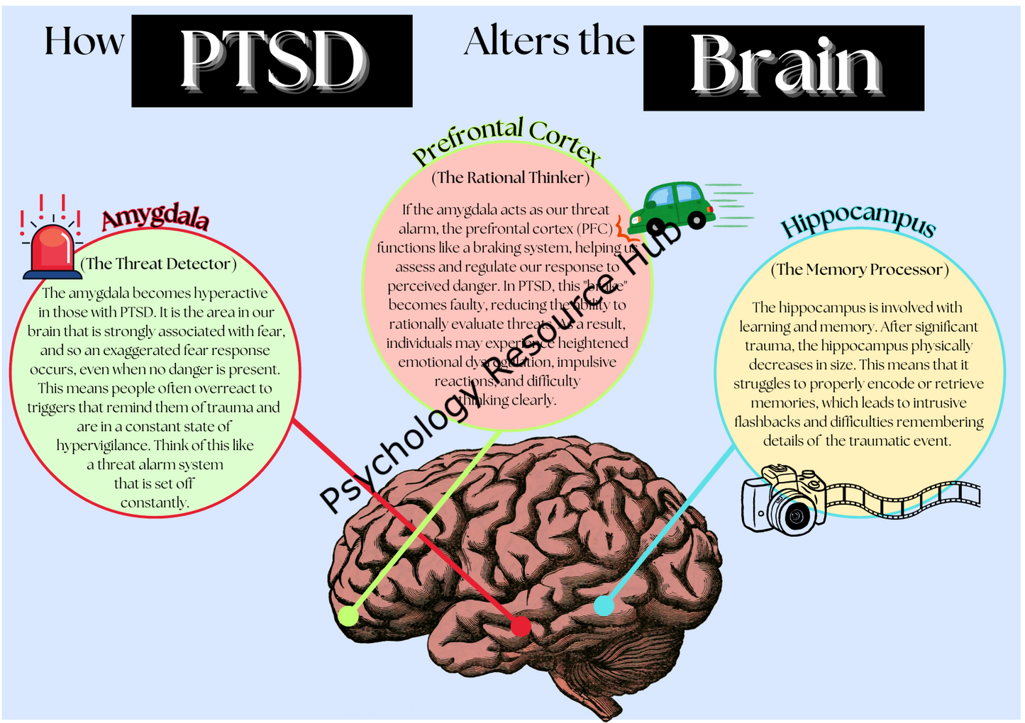 How PTSD Alters the Brain Poster
