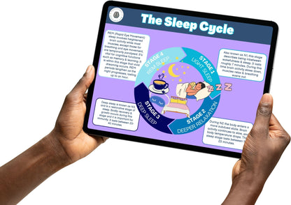 The Sleep Cycle - Poster