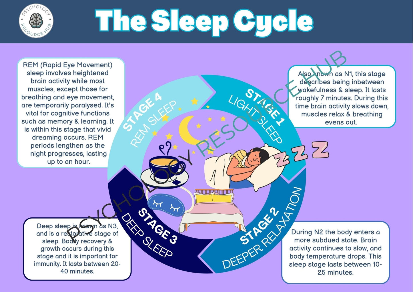 The Sleep Cycle - Poster