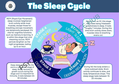 The Sleep Cycle - Poster