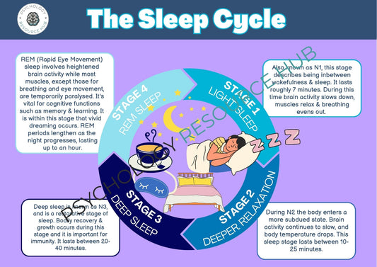 The Sleep Cycle - Poster