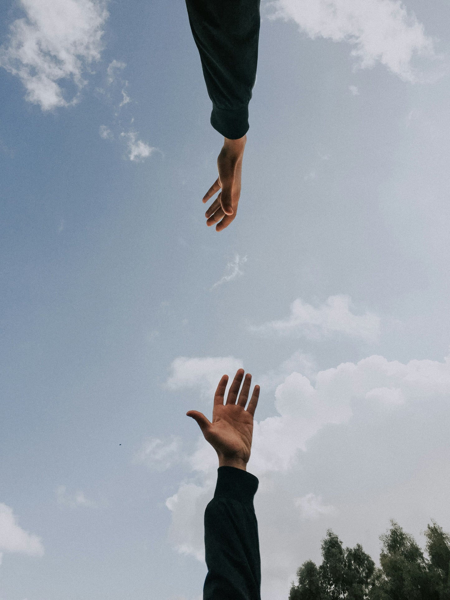 Therapist Directory Membership
